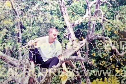ramazzotti 5